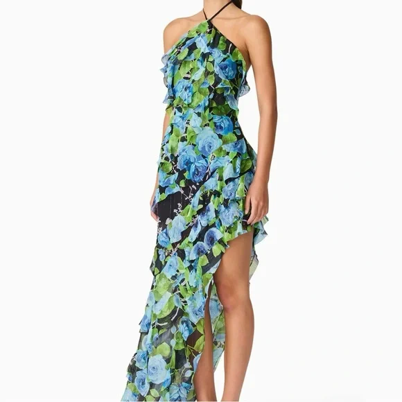 Brand New- Elliatt Briony Asymmetrical Maxi Dress in Black Floral 🦋 Dresses